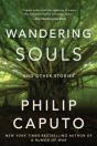 Wandering Souls - Preview