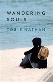 Capa do artigo Wandering Souls