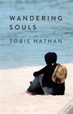 Capa do artigo Wandering Souls