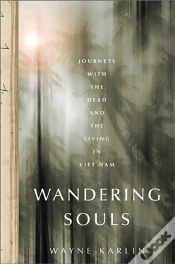 Capa do artigo Wandering Souls