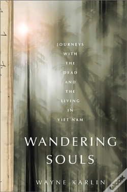 Capa do artigo Wandering Souls