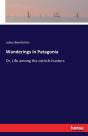 Wanderings In Patagonia - Preview