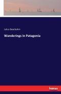 Wanderings In Patagonia
