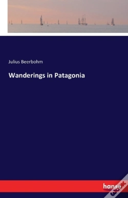 Capa do artigo Wanderings In Patagonia