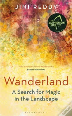 Capa do artigo Wanderland