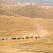 Capa do artigo Wanderlust - CD