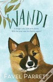 Capa do artigo Wandi