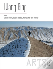 Capa do artigo Wang Bing