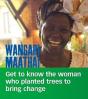 Wangari Maathai - Preview
