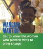 Wangari Maathai - Preview