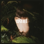 Capa do artigo Want - CD