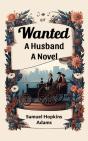 Wanted A Husband A Novel - Preview