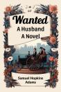 Wanteda Husband A Novel (Edition2024) - Preview