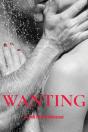 Wanting - Preview