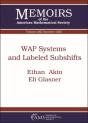 Wap Systems And Labeled Subshifts - Preview