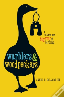 Capa do artigo Warblers & Woodpeckers