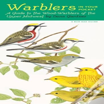 Warblers In Your Pocket