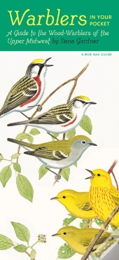 Warblers In Your Pocket
