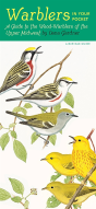 Warblers In Your Pocket - Preview