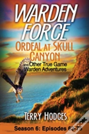 Capa do artigo Warden Force