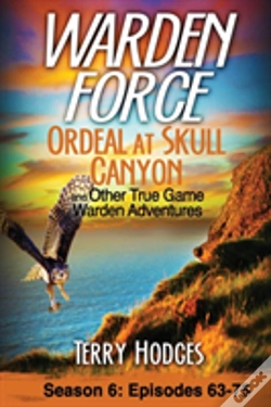 Capa do artigo Warden Force