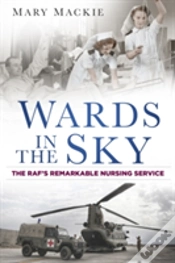 Capa do artigo Wards In The Sky