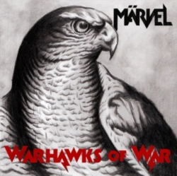 Capa do artigo Warhawks of War - Vinil