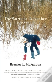 Capa do artigo Warmest December