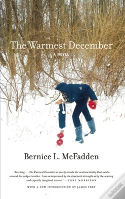 Capa do artigo Warmest December