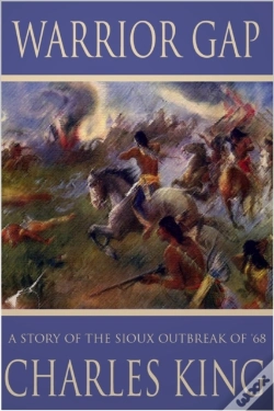 Capa do artigo Warrior Gap