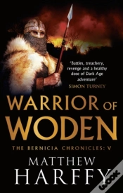 Capa do artigo Warrior Of Woden