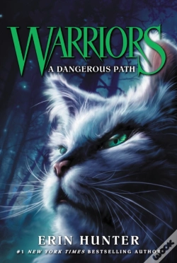 Capa do artigo Warriors #5: A Dangerous Path