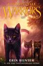 Warriors: A Starless Clan #2: Sky - Preview