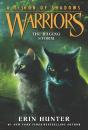 Warriors: A Vision Of Shadows #6: The Raging Storm - Preview
