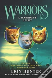Capa do artigo Warriors: A Warriorâ€™S Spirit