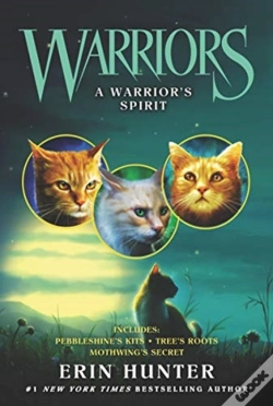 Capa do artigo Warriors: A Warriorâ€™S Spirit