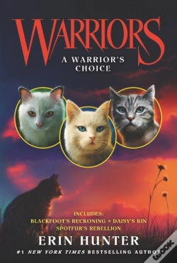 Capa do artigo Warriors: A Warrior'S Choice