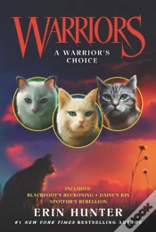 Capa do artigo Warriors: A Warrior