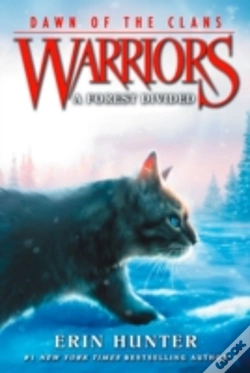 Capa do artigo Warriors: Dawn Of The Clans #5: A Forest Divided