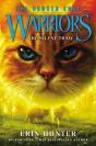 Warriors: The Broken Code #2: The Silent Thaw - Preview