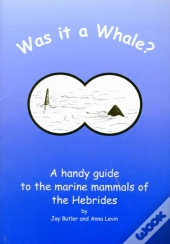 Was It A Whale?