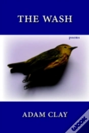 Capa do artigo Wash