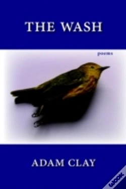 Capa do artigo Wash