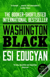 Capa do artigo Washington Black