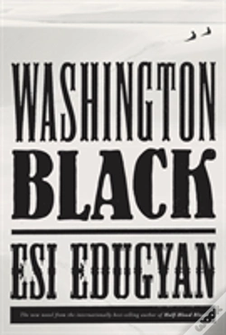 Capa do artigo Washington Black