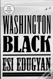 Capa do artigo Washington Black