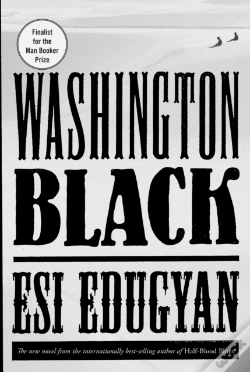 Capa do artigo Washington Black