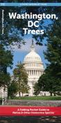 Washington, Dc Trees - Preview