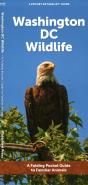 Washington Dc Wildlife - Preview