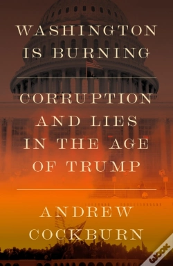 Capa do artigo Washington Is Burning